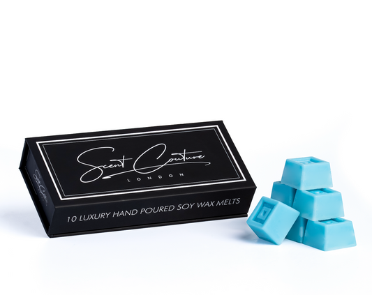 PARIS LUXURY SOY WAX MELTS